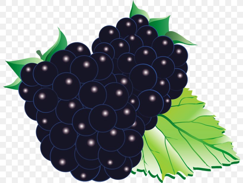 Grape Black Mulberry Blackberry Red Raspberry Fruit, PNG, 800x619px, Juice, Auglis, Berry, Blackberry, Flowering Plant Download Free