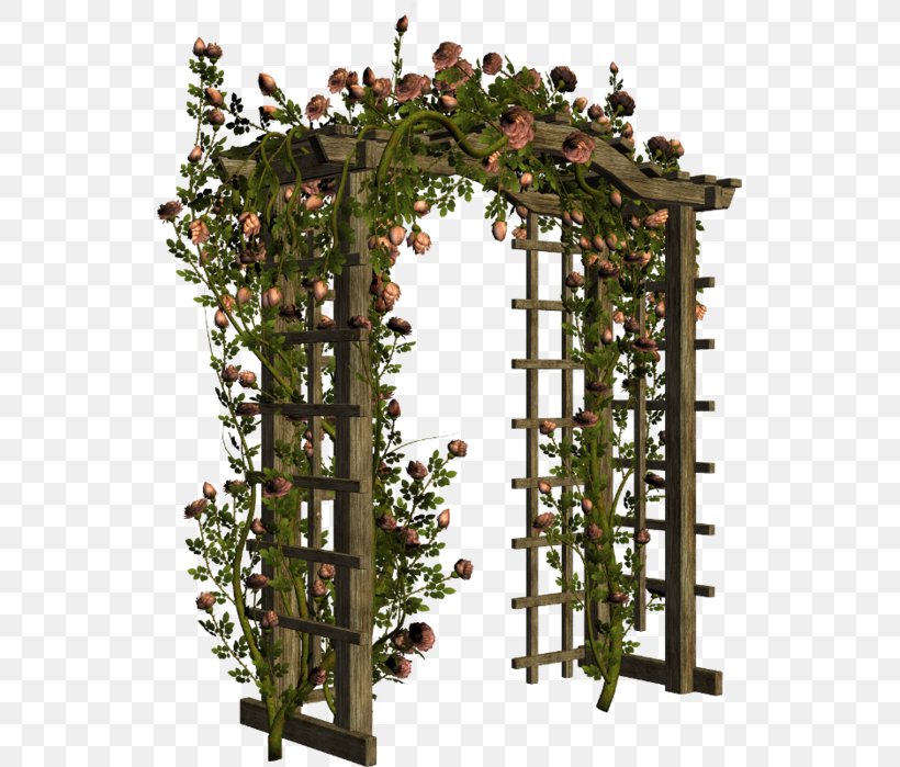 Pergola Flower Garden Arch Gate, PNG, 533x699px, Pergola, Arch, Door, Fence, Flower Download Free