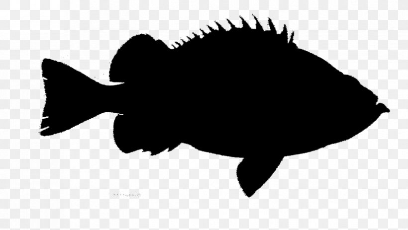 Fauna Silhouette Font Fish Black M, PNG, 826x467px, Fauna, Black M, Bonyfish, Fish, Rayfinned Fish Download Free