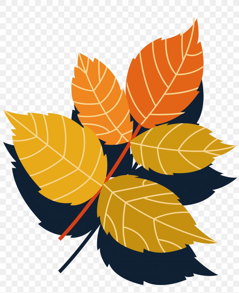 Leaf Branch, PNG, 1536x1877px, Leaf, Autumn, Branch, Deciduous, Fruit Download Free
