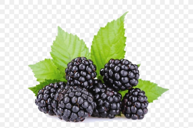 Oil Marmalade Pekmez Red Mulberry Boysenberry, PNG, 670x545px, Oil, Berry, Bilberry, Blackberry, Blueberry Download Free