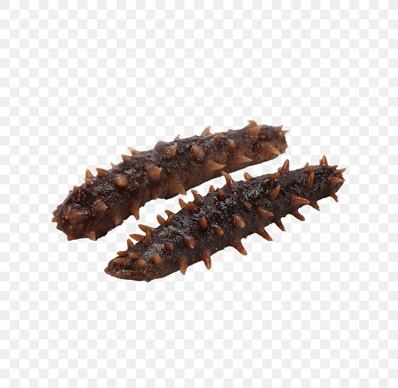 Sea Cucumber As Food, PNG, 800x800px, Sea Cucumber As Food, Animal, Chocolate, Computer Graphics, Cucumber Download Free