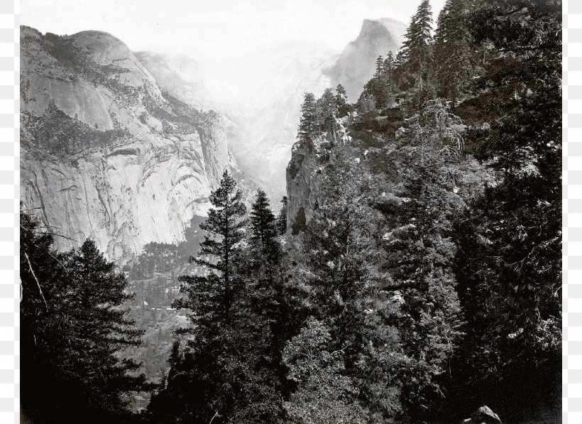 Yosemite Valley Tenaya Lake Tenaya Canyon Half Dome Olmsted Point, PNG, 1200x875px, Yosemite Valley, Black And White, Canyon, Cirque, Conifer Download Free