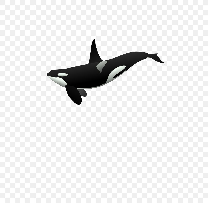 Arctic Polar Bear Killer Whale Cetacea Clip Art, PNG, 566x800px, Arctic, Animal, Aquatic Animal, Black And White, Cetacea Download Free