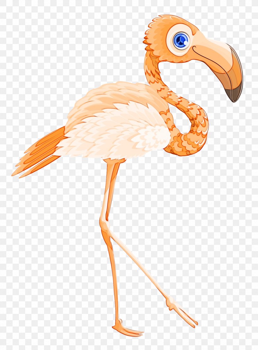 Bird Flamingo Beak Transparency, PNG, 1515x2061px, Bird, Animal, Animal Figure, Art, Beak Download Free