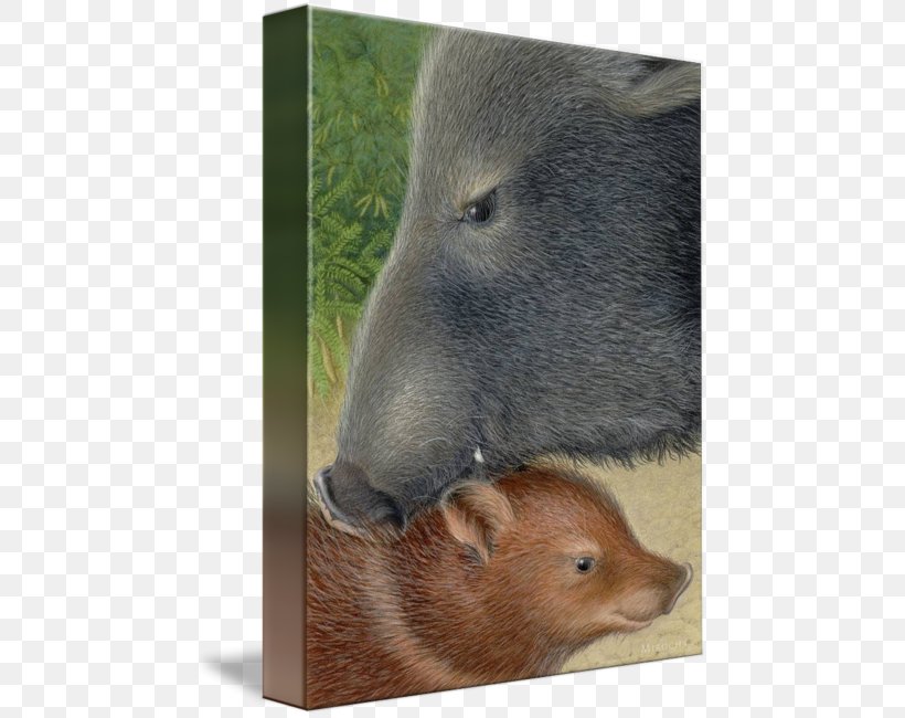 Capybara Beaver Bear Fauna Snout, PNG, 465x650px, Capybara, Bear, Beaver, Fauna, Fur Download Free