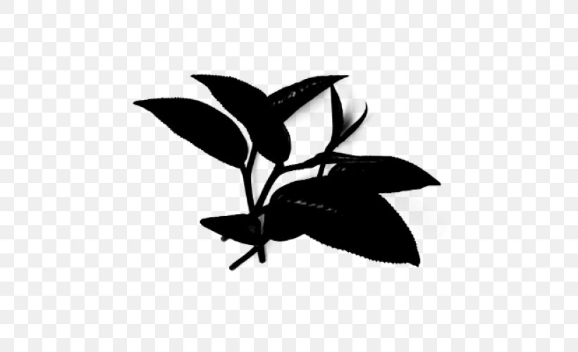 Clip Art Leaf Silhouette Line Black, PNG, 500x500px, Leaf, Black, Blackandwhite, Botany, Branch Download Free