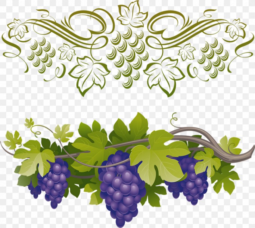 Common Grape Vine Wine Vector Graphics Clip Art, PNG, 900x805px, Common Grape Vine, Berry, Floral Design, Flower, Flowering Plant Download Free