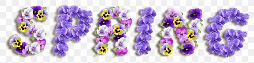 Lavender Font, PNG, 3506x873px, Lavender, Purple, Violet Download Free