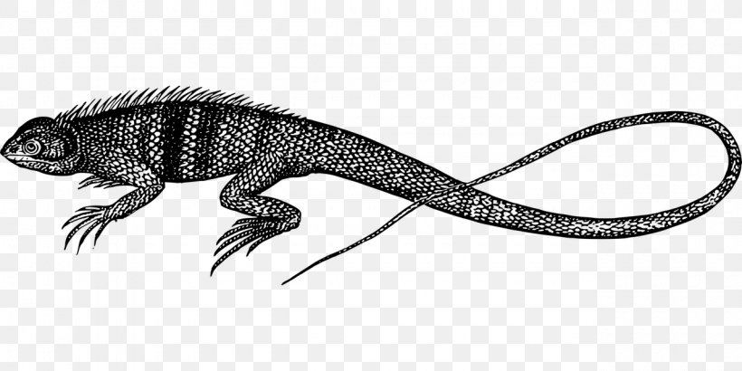 Lizard Reptile Common Iguanas Image Drawing, PNG, 1280x640px, Lizard, Agama, Agamid Lizards, Animal Figure, Claw Download Free