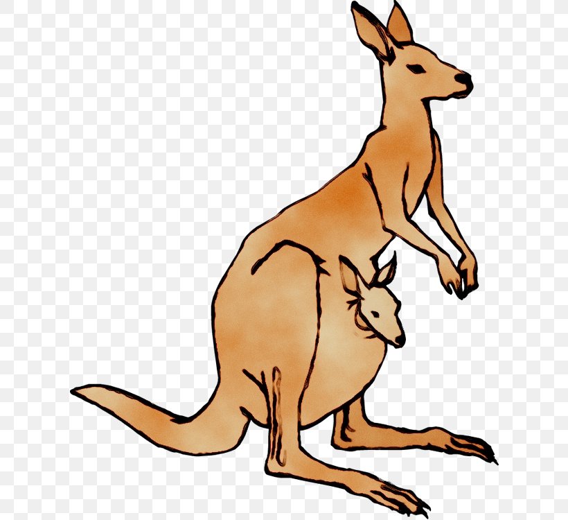 Clip Art Kangaroo Transparency Image, PNG, 620x750px, Kangaroo, Animal Figure, Art, Boxing Kangaroo, Cartoon Download Free