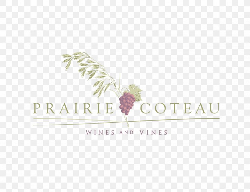 Common Grape Vine Wine Logo Brand Bottle, PNG, 1024x788px, Common Grape Vine, Bottle, Bottling Line, Brand, Grape Download Free