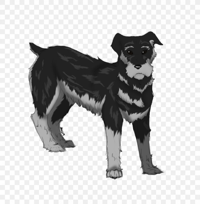 Dog Breed Rare Breed (dog) Puppy Whiskers, PNG, 884x904px, Dog Breed, Art, Black And White, Breed, Carnivoran Download Free