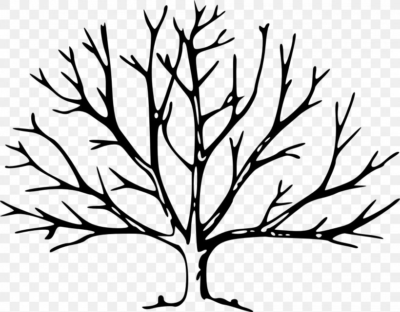 Trees For Kids Leaf Branch Clip Art, PNG, 1920x1502px, Tree, Artwork, Black And White, Branch, Deciduous Download Free