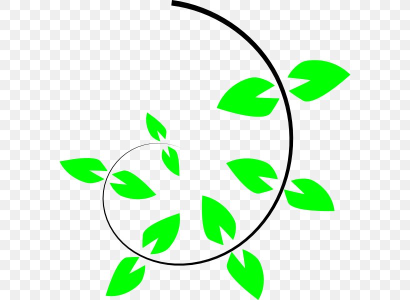 Vine Climbing Plant Clip Art, PNG, 582x600px, Vine, Artwork, Branch, Climbing, Flora Download Free