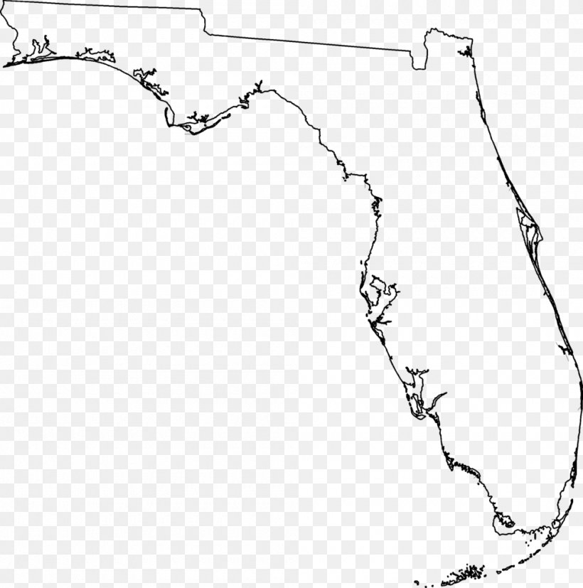 Florida Hurricane Irma U.S. State Blank Map Border, PNG, 1000x1009px, Florida, Area, Auto Part, Black And White, Blank Map Download Free