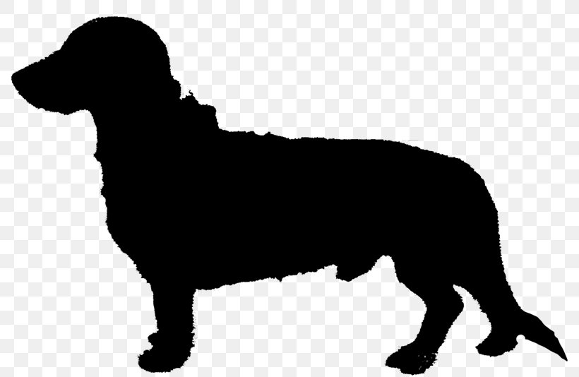 Golden Retriever Labrador Retriever Newfoundland Dog Clip Art, PNG, 790x534px, Golden Retriever, Breed, Canidae, Carnivore, Companion Dog Download Free