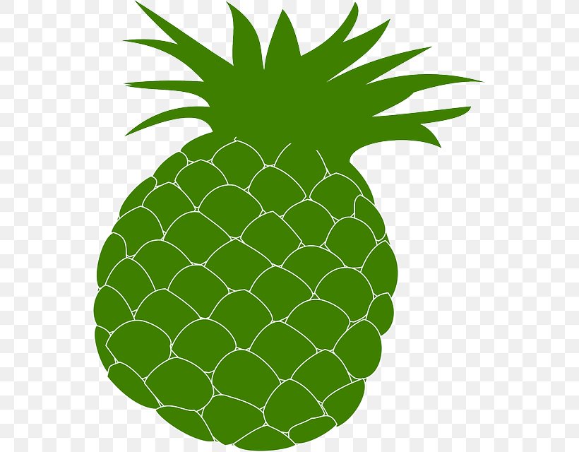 Pineapple Clip Art Fruit Tea Image, PNG, 557x640px, Pineapple, Ananas, Bromeliaceae, Flowering Plant, Flowerpot Download Free