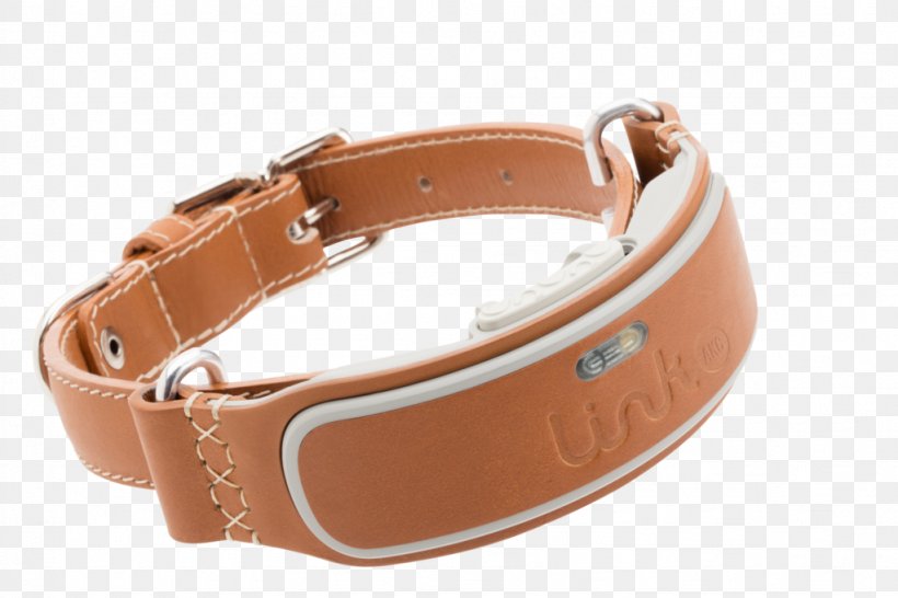 LINK AKC Smart Dog Collar Tracking Collar, PNG, 1023x682px, Dog, Activity Monitors, American Kennel Club, Beige, Belt Download Free