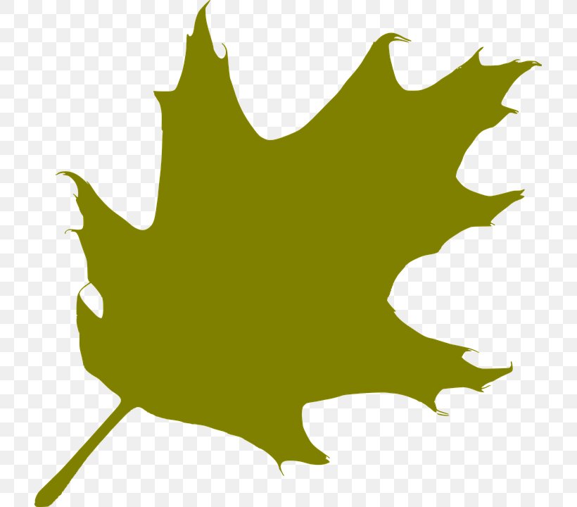Tree Leaf Silhouette Clip Art, PNG, 721x720px, Tree, Autumn Leaf Color, Black And White, Branch, Bur Oak Download Free