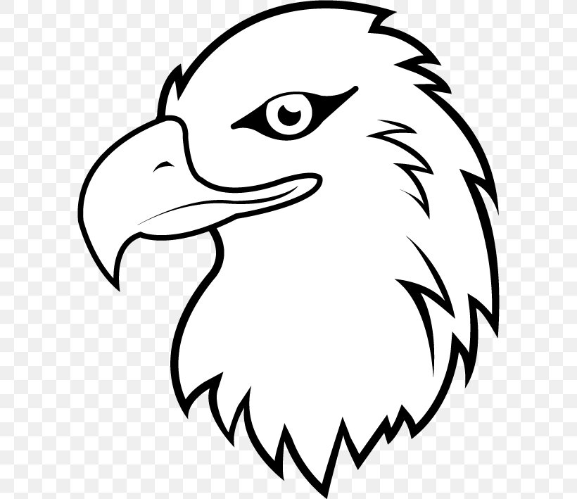 Bald Eagle White-tailed Eagle Clip Art, PNG, 600x709px, Bald Eagle, Art, Artwork, Beak, Bird Download Free