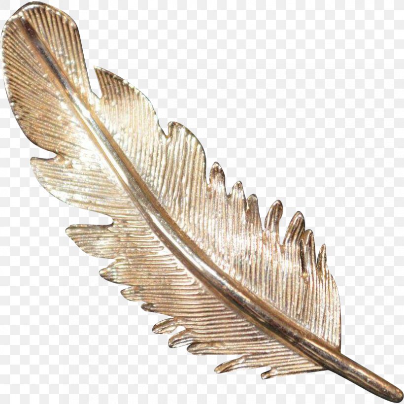 Feather, PNG, 825x825px, Feather, Wing Download Free