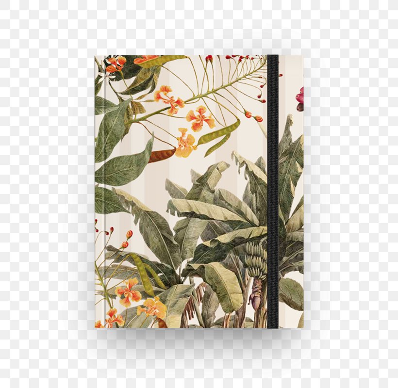 Floral Design Rectangle, PNG, 800x800px, Floral Design, Flora, Flower, Pollinator, Rectangle Download Free