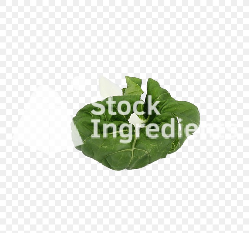 Leaf Vegetable Plastic Flowerpot, PNG, 768x768px, Leaf, Flowerpot, Leaf Vegetable, Plastic Download Free