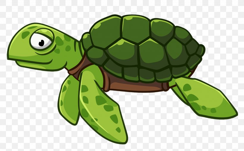 Sea Turtle Background, PNG, 1600x990px, Turtle, Cartoon, Green, Green Sea Turtle, Pond Turtle Download Free