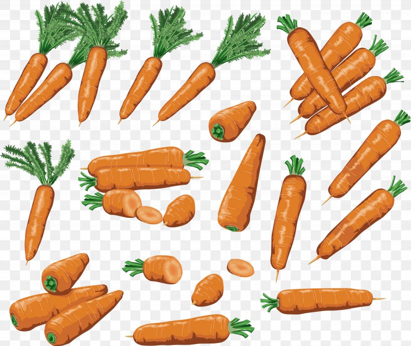 Baby Carrot Root Vegetables Food, PNG, 3472x2929px, Carrot Salad, Animal Source Foods, Baby Carrot, Bockwurst, Bologna Sausage Download Free