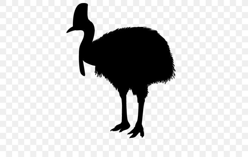 Emu Common Ostrich Clip Art Fauna Silhouette, PNG, 600x520px, Emu, Beak, Bird, Cassowary, Common Ostrich Download Free