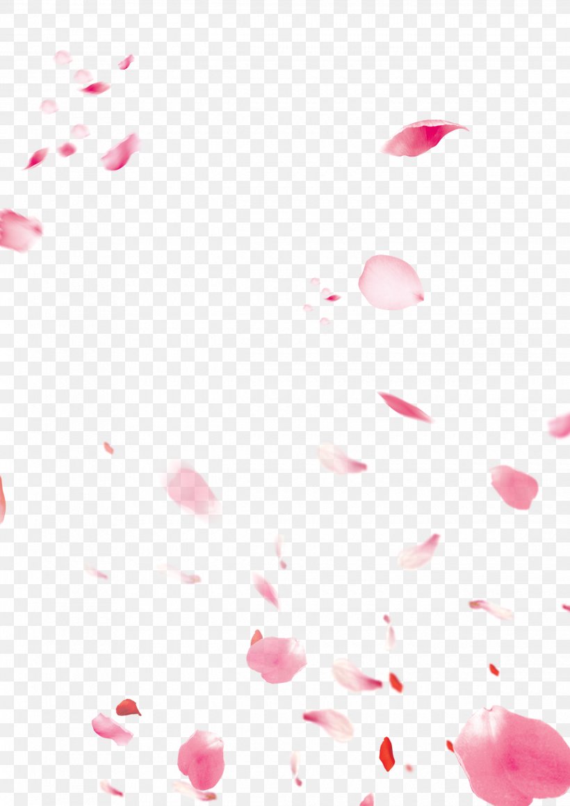 Fundal Download, PNG, 2480x3508px, Fundal, Autocommit, Heart, Petal, Pink Download Free