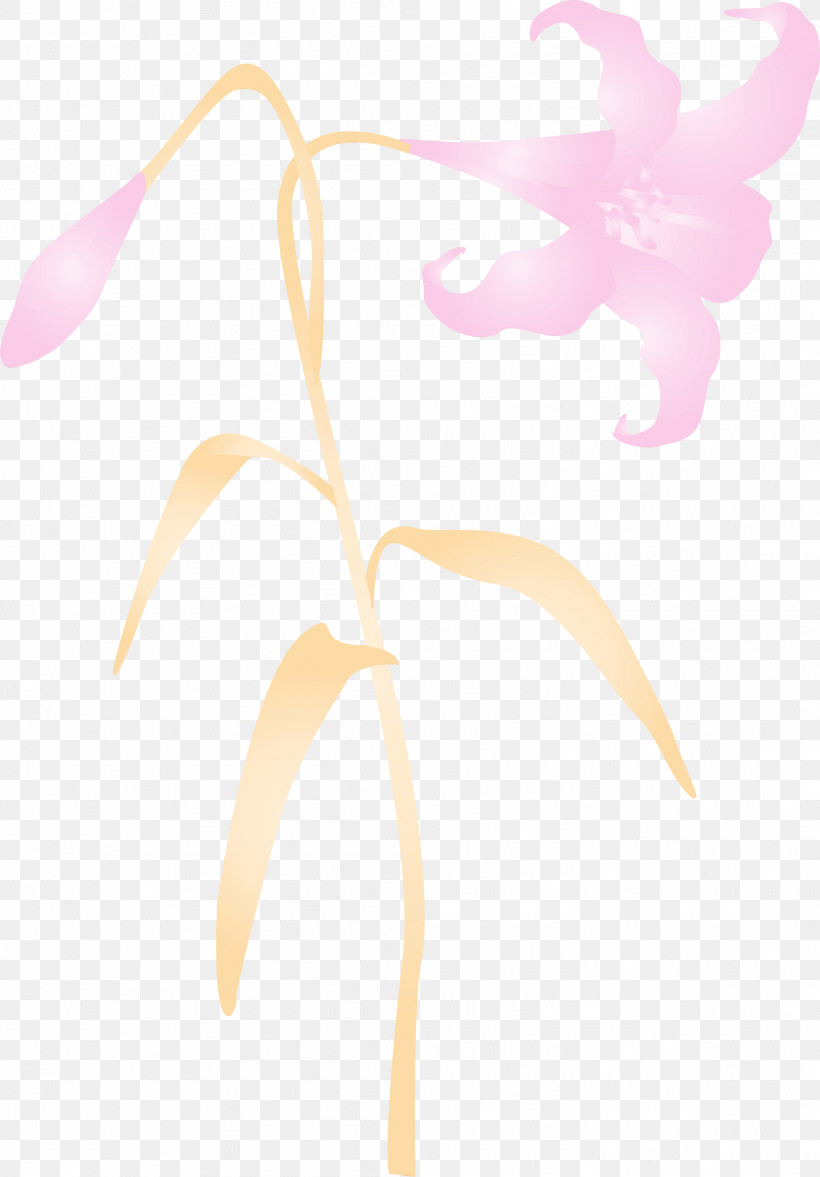 Leaf Plant Flower, PNG, 2089x3000px, Easter Flower, Flower, Leaf, Paint, Plant Download Free