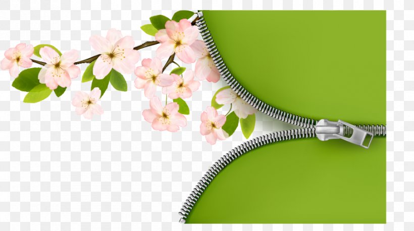 Branch Flower Clip Art, PNG, 904x506px, Branch, Blossom, Cherry Blossom, Floral Design, Flower Download Free