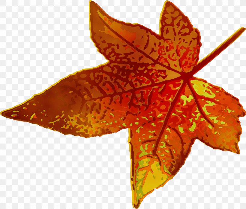 Maple Leaf, PNG, 1920x1638px, Watercolor, Black Maple, Deciduous, Leaf, Maple Leaf Download Free