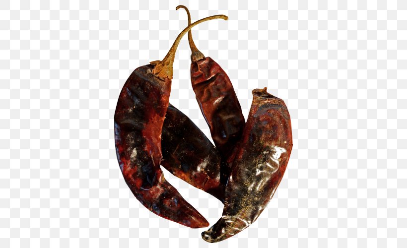Pasilla Chili Pepper Cayenne Pepper Sujuk Paprika, PNG, 500x500px, Pasilla, Animal Source Foods, Bell Peppers And Chili Peppers, Capsicum Pubescens, Cayenne Pepper Download Free