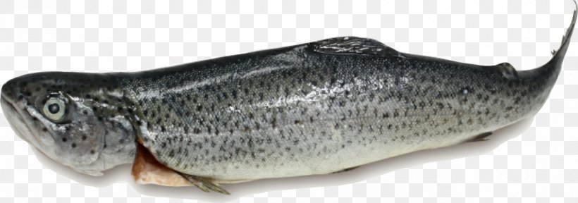 Salmon 09777 Meat Analogue Oily Fish, PNG, 1288x453px, Salmon, Bony Fish, Fish, Meat, Meat Analogue Download Free