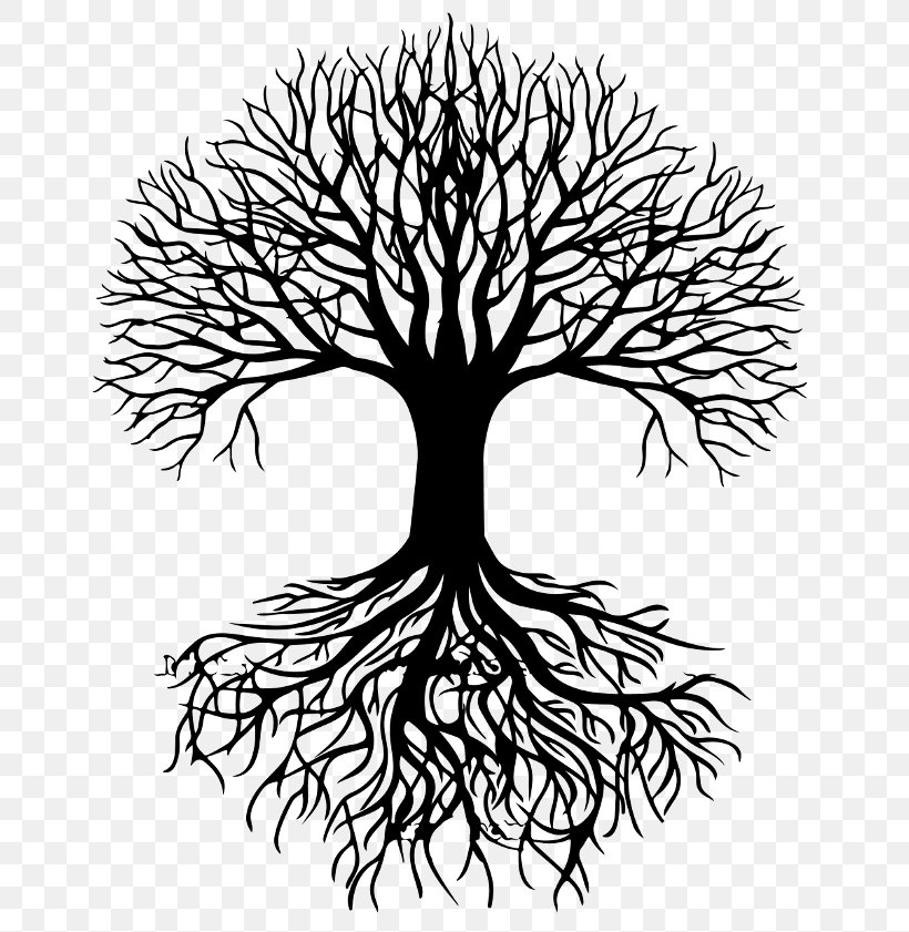 Tree Silhouette Root Clip Art, PNG, 696x841px, Tree, Artwork, Black And