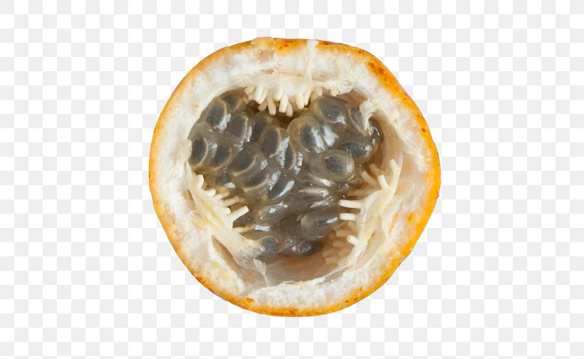 Colombian Cuisine Sweet Granadilla Passion Fruit Tropical Fruit, PNG, 504x504px, Colombian Cuisine, Banana Passionfruit, Food, Fruit, Organism Download Free
