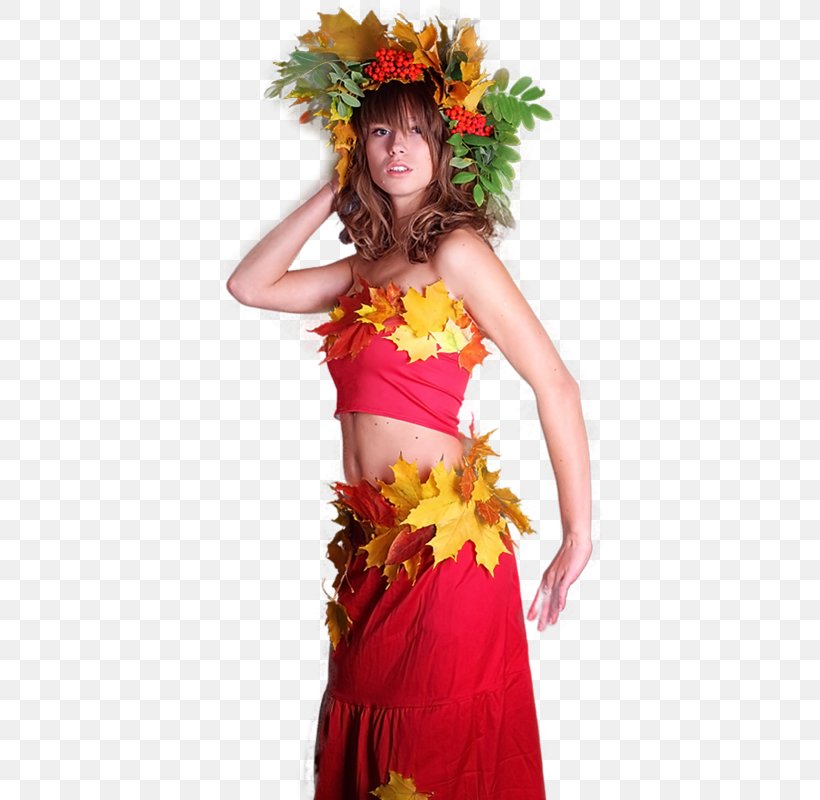 Feather Boa Cut Flowers Hula Lei Fashion, PNG, 533x800px, Feather Boa, Costume, Cut Flowers, Dancer, Fashion Download Free