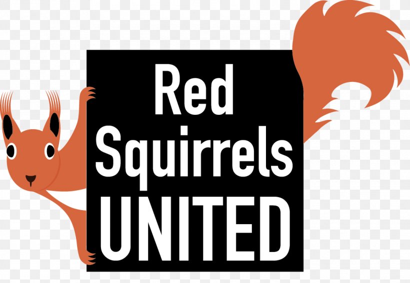 American Red Squirrel Logo Animal, PNG, 1133x784px, Squirrel, American Red Squirrel, Animal, Area, Birth Control Download Free