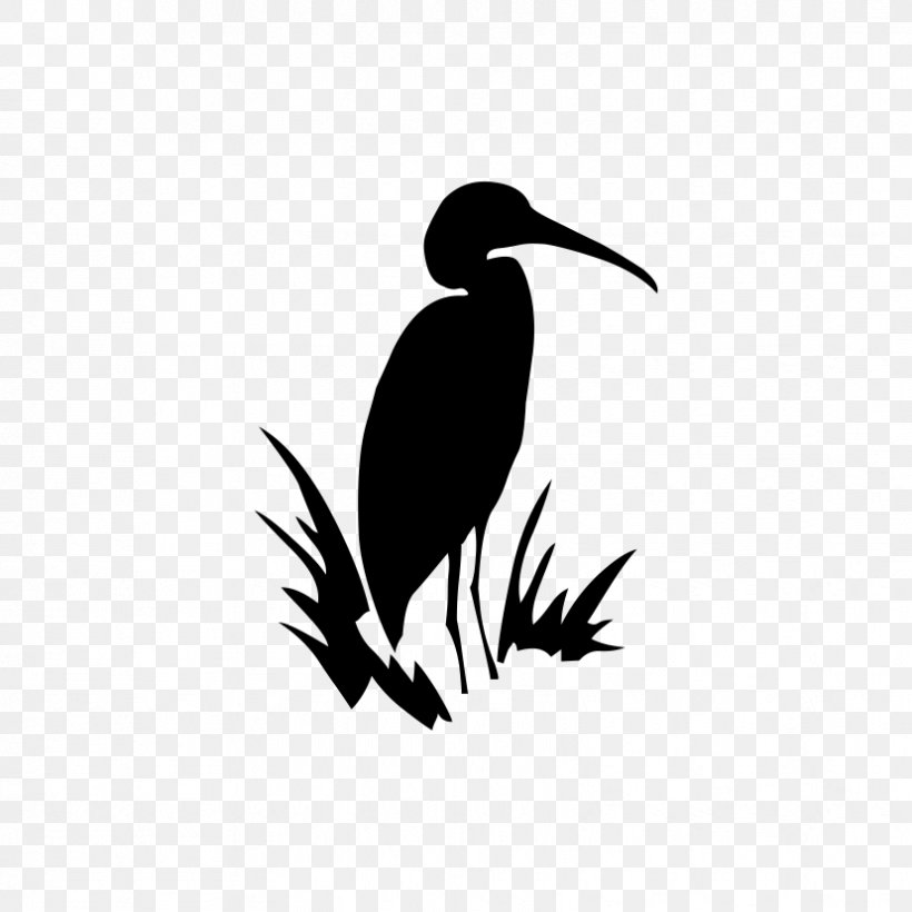 Beak Bird Crane Fauna Font, PNG, 828x828px, Beak, Bird, Crane, Fauna, Heron Download Free
