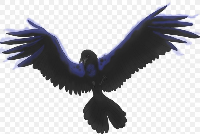 Bird American Crow Wing, PNG, 1024x686px, Bird, American Crow, Beak, Bird Of Prey, Carrion Download Free
