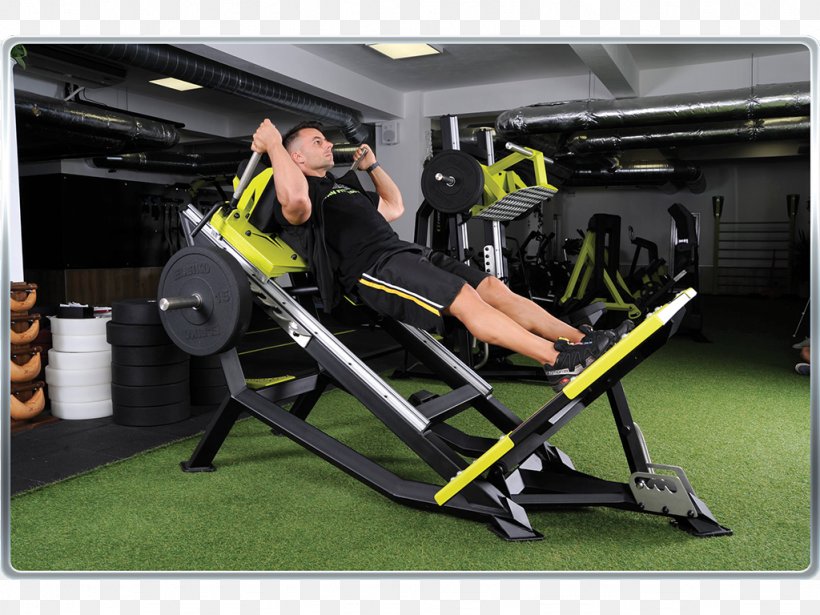 Fitness Centre Exercise Machine Physical Fitness Sports Training, PNG, 1024x768px, Fitness Centre, Exercise, Exercise Equipment, Exercise Machine, Gym Download Free