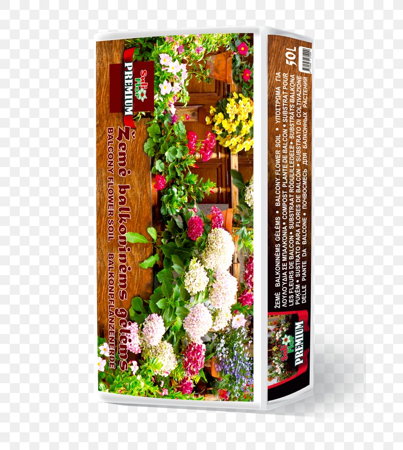 Floral Design Cut Flowers, PNG, 670x916px, Floral Design, Cut Flowers, Flora, Floristry, Flower Download Free