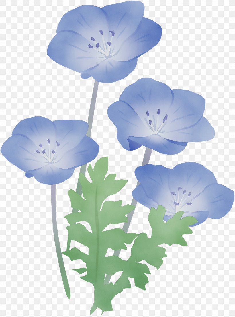 Flower Petal Plant Baby Blue Eyes Wildflower, PNG, 2225x3000px, Watercolor, Anemone, Baby Blue Eyes, Flower, Morning Glory Download Free