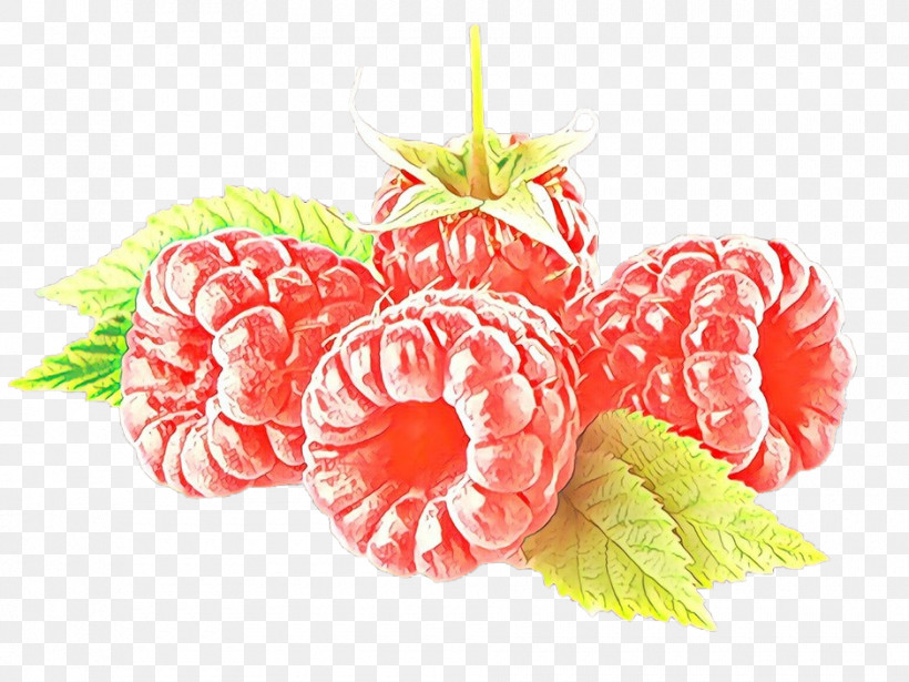 Pink Leaf Fruit Plant Food, PNG, 940x706px, Pink, Berry, Flower, Food, Fruit Download Free