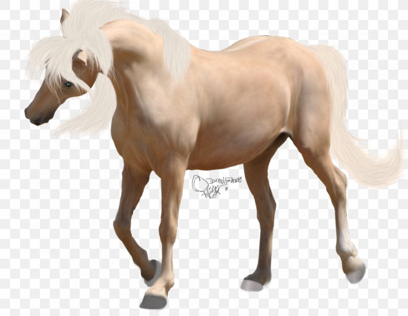 American Paint Horse Foal Mane Mustang Andalusian Horse, PNG, 900x697px, American Paint Horse, Akhalteke, Andalusian Horse, Animal Figure, Buckskin Download Free