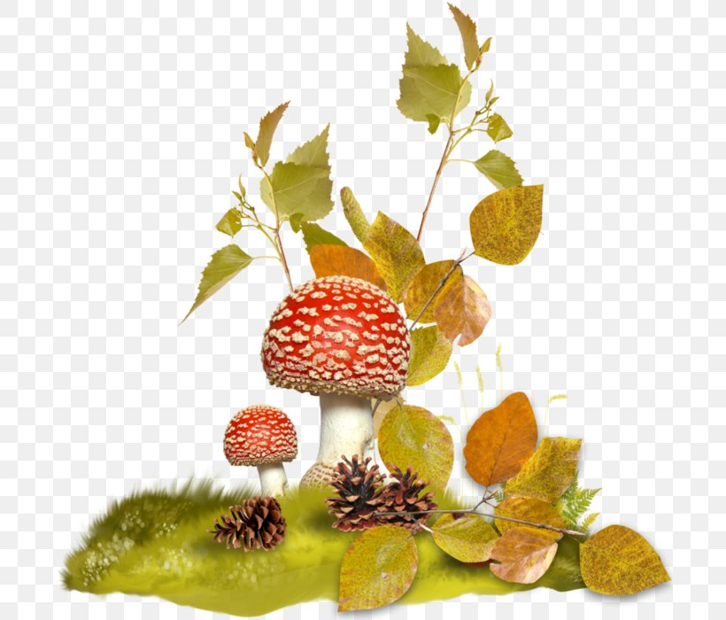 Fungus, PNG, 700x700px, Fungus, Autumn, Berry, Branch, Digital Image Download Free