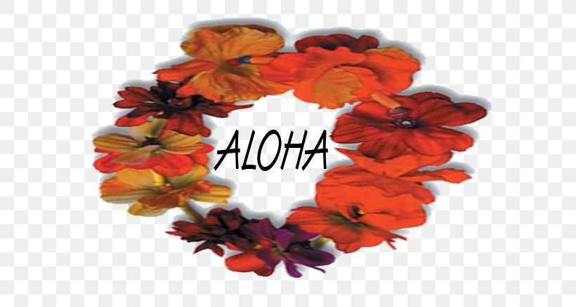 Hawaiian Maui Language Aloha Hello, PNG, 580x438px, Hawaiian, Aloha, English, Flower, Greeting Download Free